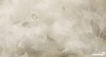 پوستر دیواری مدل فلامینگو و برگ 10167600