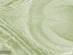 پوستر دیواری مدل پر 10291200