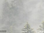 پوستر دیواری منظره طبیعت 10167000