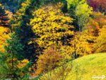 پوستر دیواری منظره طبیعت زیبا 10293300