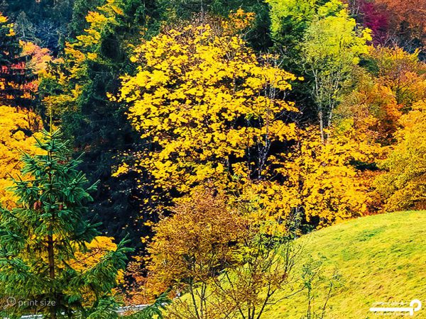 پوستر دیواری منظره طبیعت زیبا 10293300 - Image 6