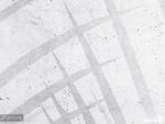 پوستر دیواری مینیمال طرح برگ 10168900