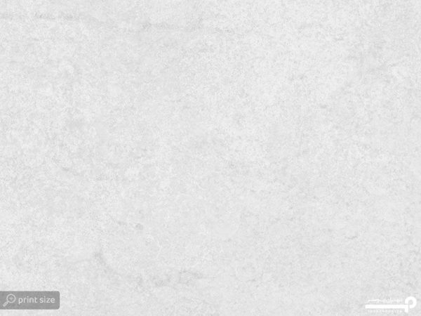 پوستر دیواری مینیمال طرح برگ 10175900 - Image 5