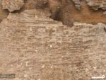 پوستر دیواری نقشه جهان و چوب 11023600