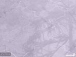 پوستر دیواری هندسی درخت 10071530