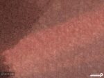 پوستر دیواری پرنده آبرنگی 10052610