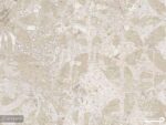 پوستر دیواری کلاسیک طرح پتینه 12219000
