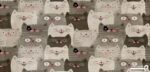 پوستر دیواری کودکانه طرح گربه 10013700