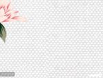 پوستر دیواری گل ریز 10237900