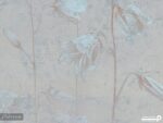 پوستر دیواری گل ریز 12212400