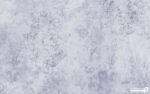 پوستر دیواری گلدار گل 12211500