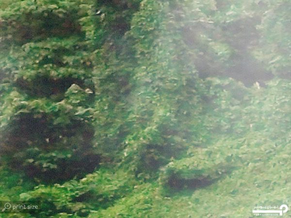 پوستر سه بعدی طبیعت 10280900 - Image 5